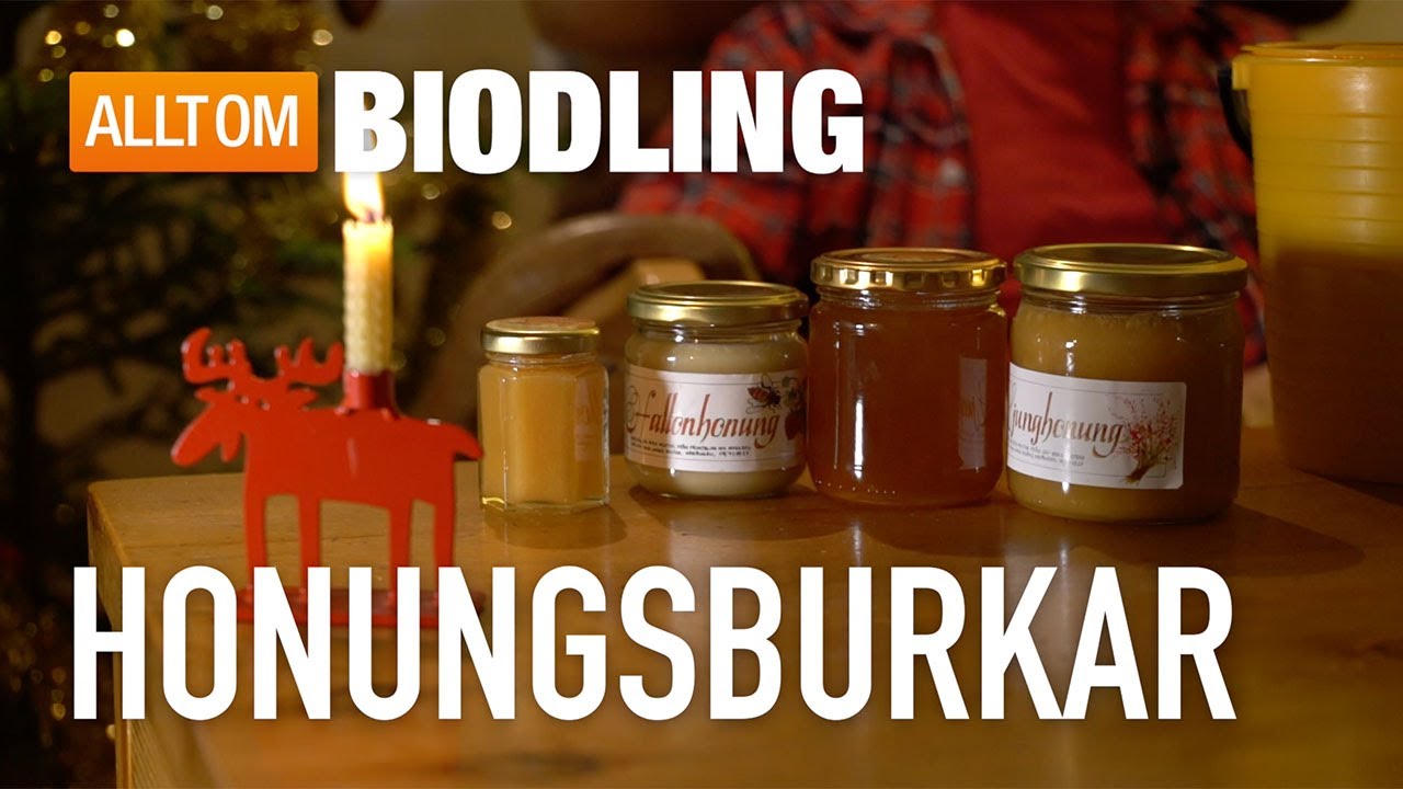 Honungsburkar - Vilken storlek passar din honung?