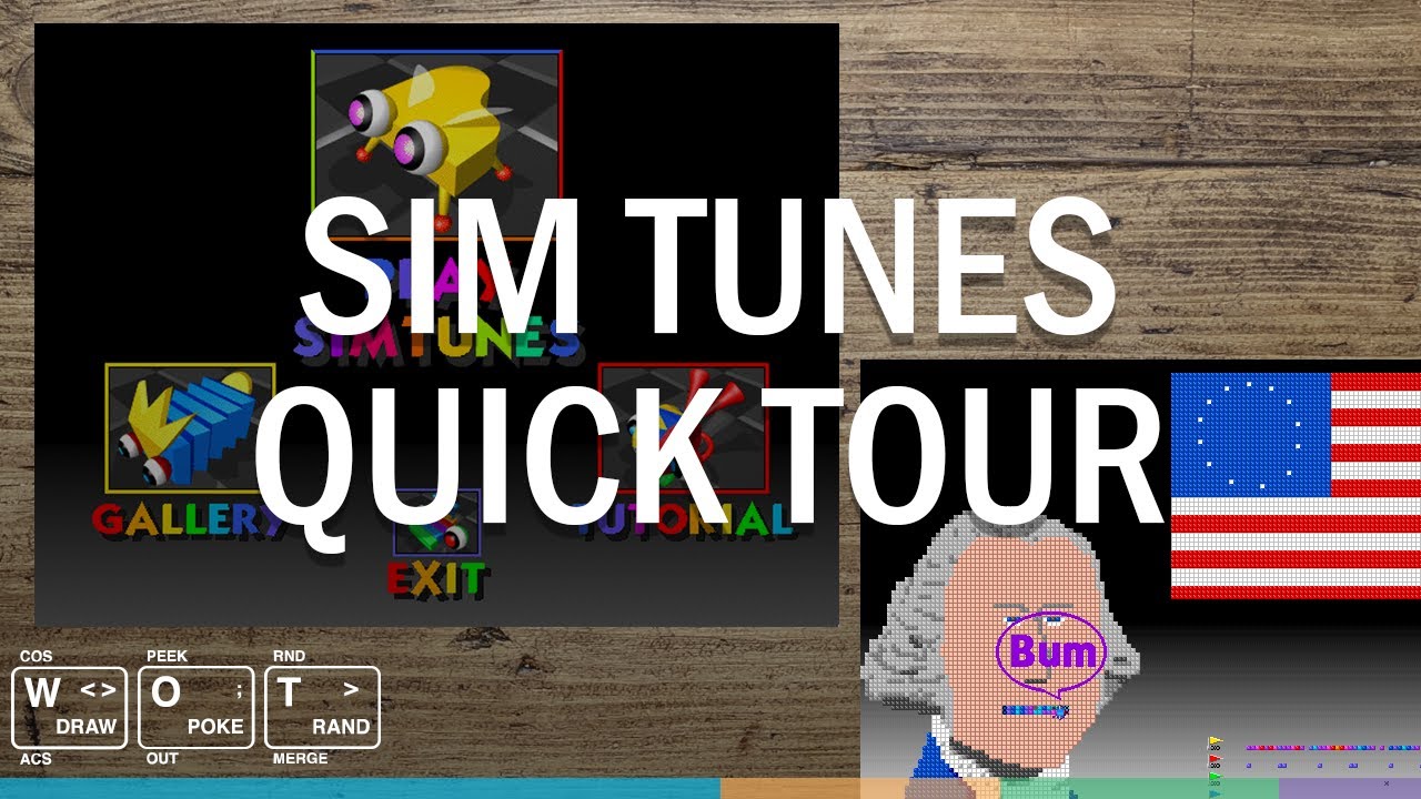 Weirdest DOS Music Creation! SIMTUNES