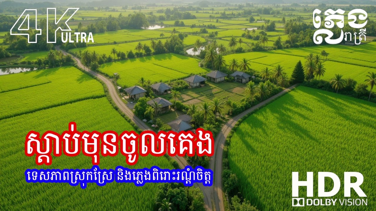 ភ្លេងរាត្រីពិរោះ 💫 បន្ធូរអារម្មណ៍ ស្ដាប់មុនគេង ឲ្យដេកលក់ស្រួល