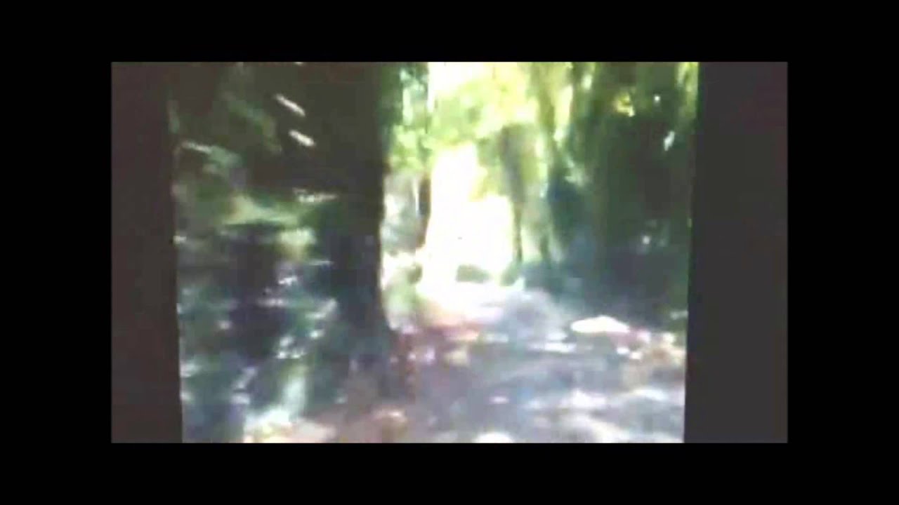 Riverwalkers Book Trailer