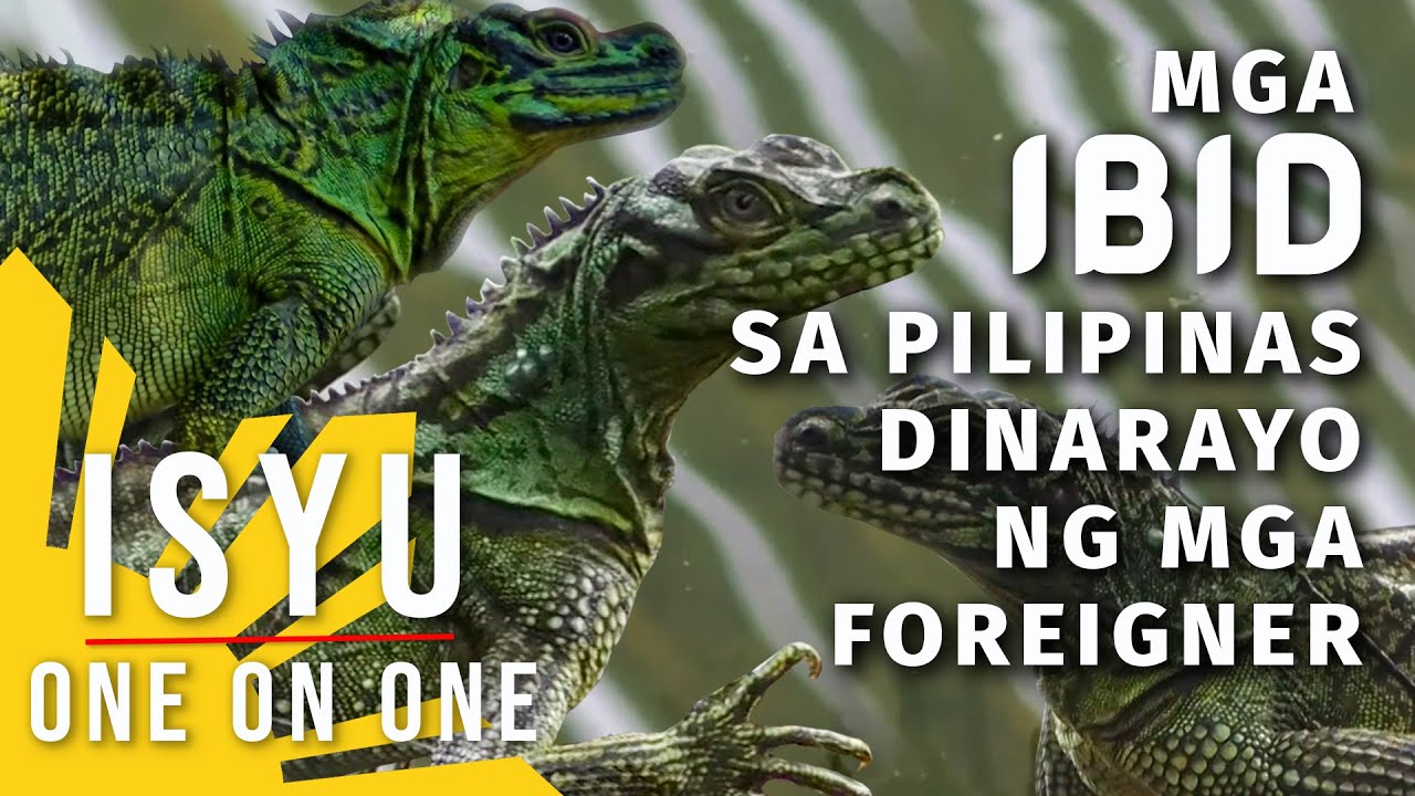 Mga Ibid sa Pilipinas Dinarayo ng mga Foreigner | Isyu One on One