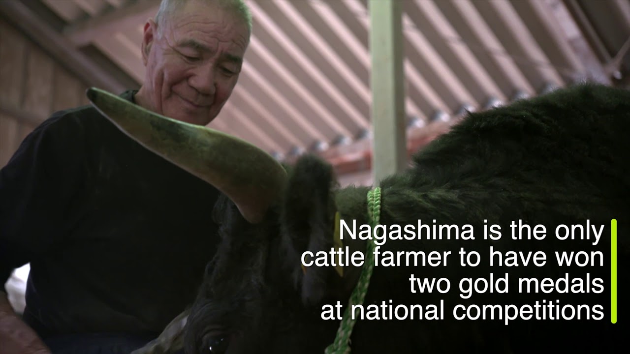From Ibaraki with love: The secret behind Japan’s top-prized wagyu beef