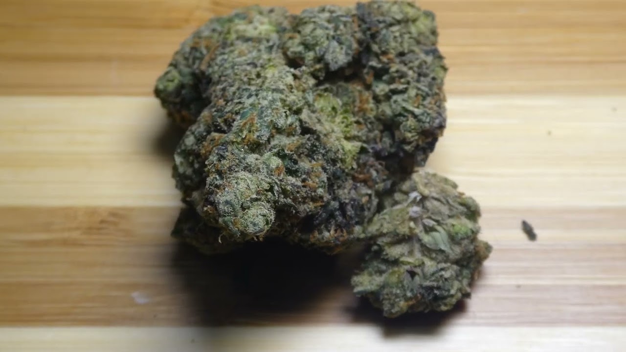 Gelato#33 X Larry Bird fr Bud Empire