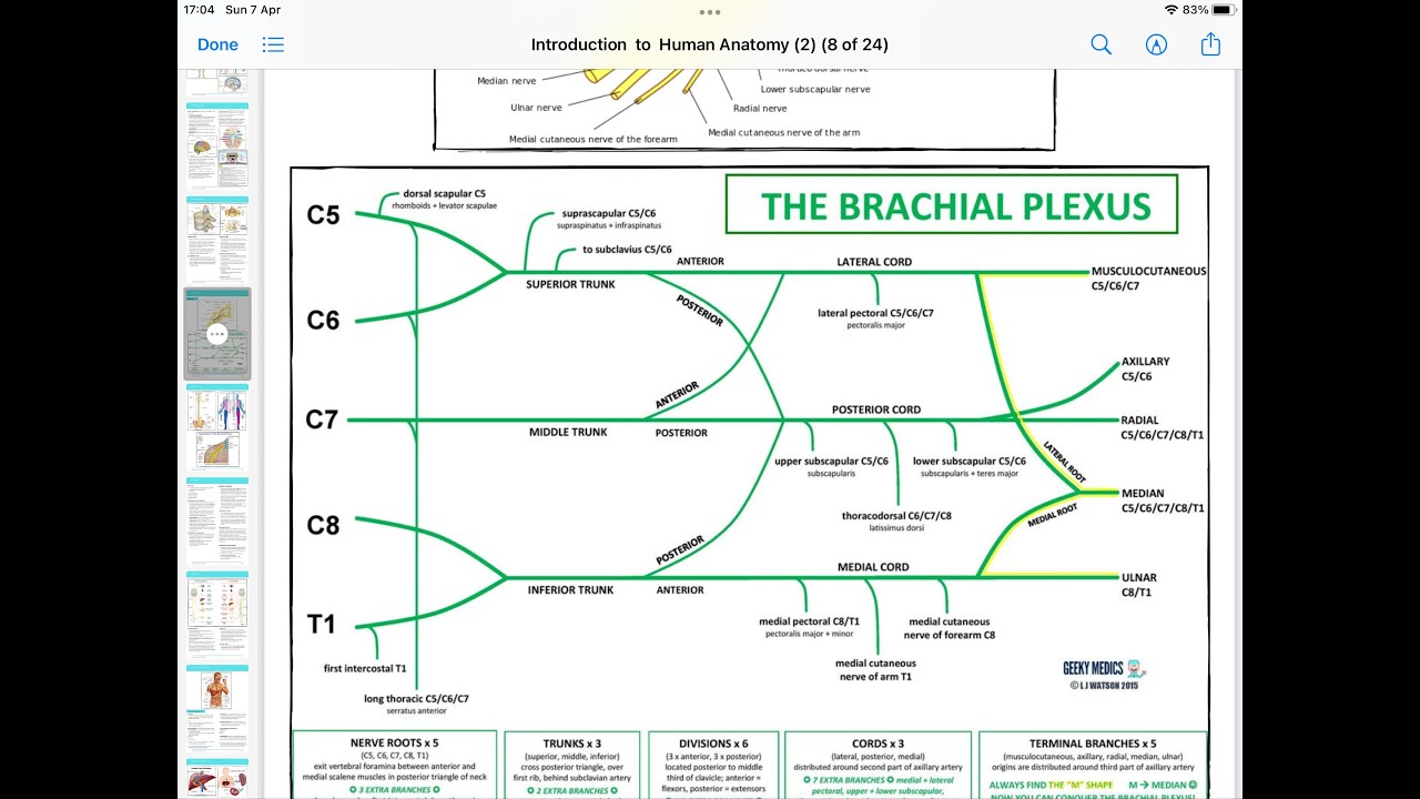 DR. Ahmed Belhaj Lectures Live Stream