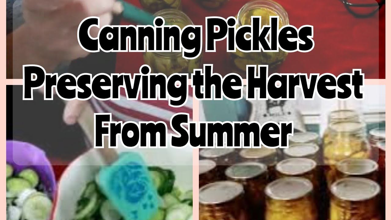 Canning Pickles | Canning & Gardening | Harvest