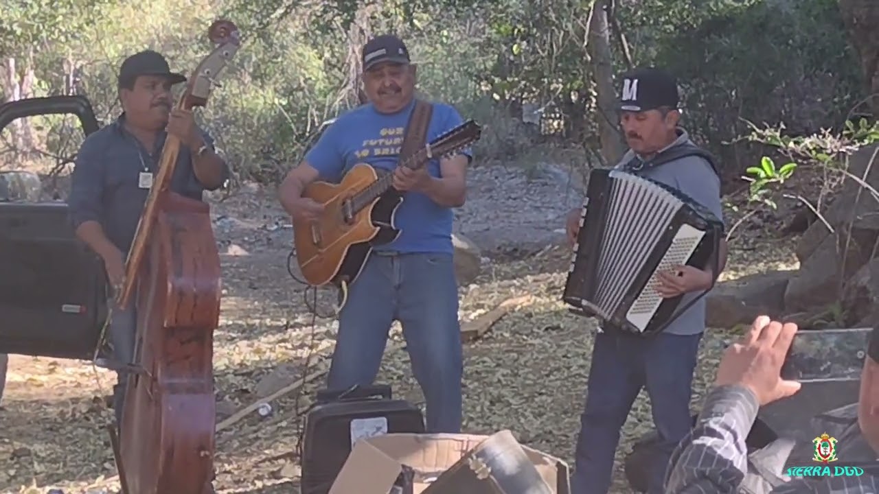 Flor De Azucena - Los Ayones Del Zapatero