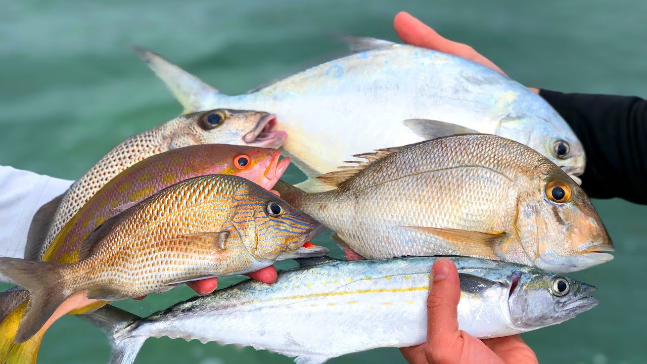 NO Fish Left BEHIND...Catch Clean Cook- Florida Keys Reef Fish