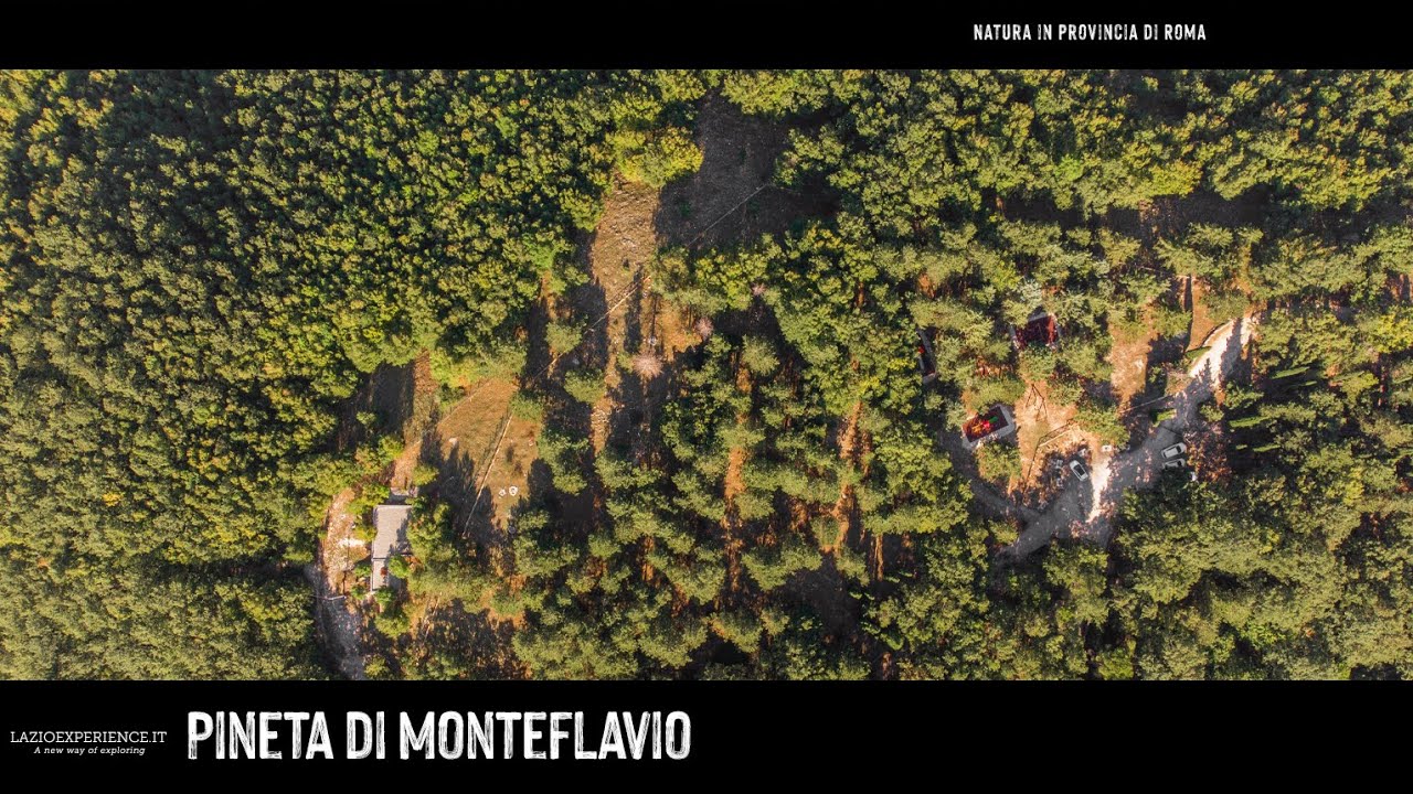 Pineta di Monteflavio | Monteflavio | Lazio Experience ®