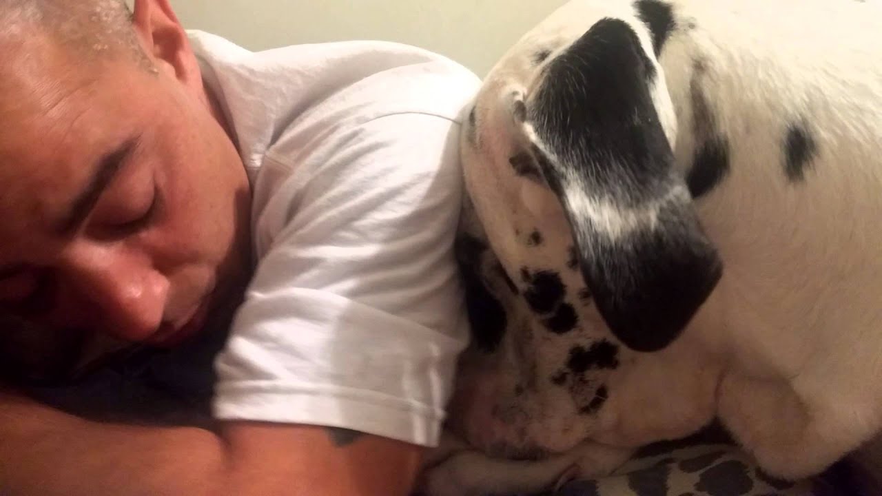Bed wars....