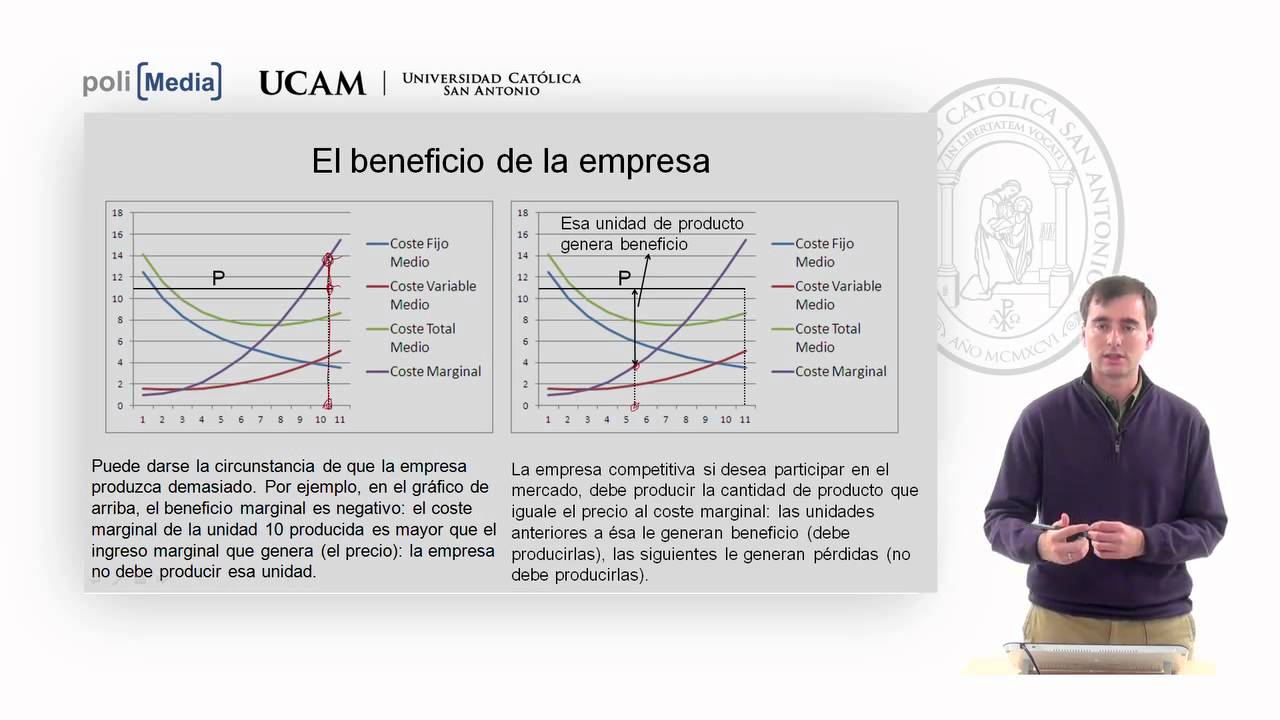 Microeconomía II - La competencia perfecta (6) - Alfonso Rosa