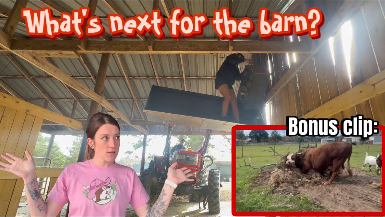 This barn has seen MANY things - let’s take a look back! ⏱️