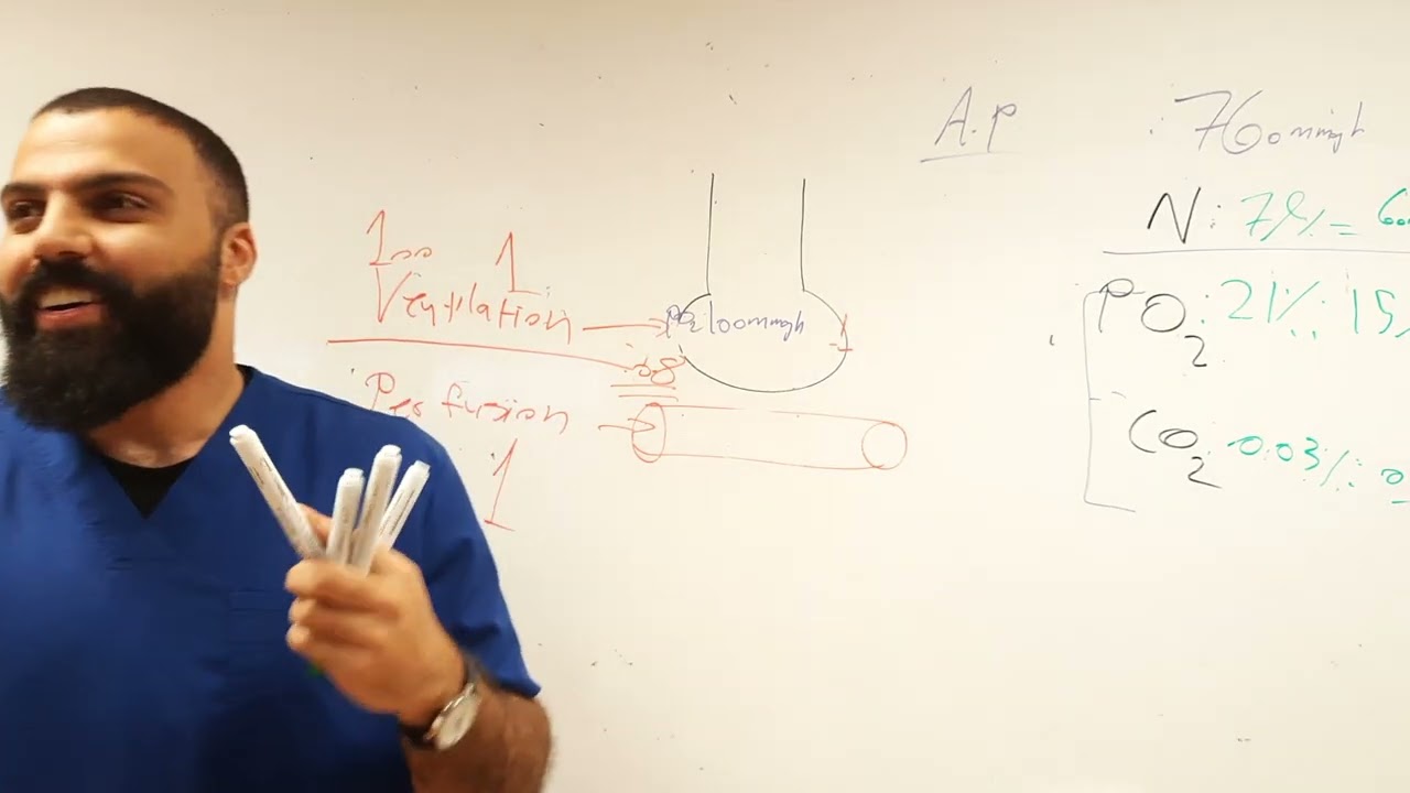 physiology of respiratory system | ventilation and perfusion ratio | part 1; last part