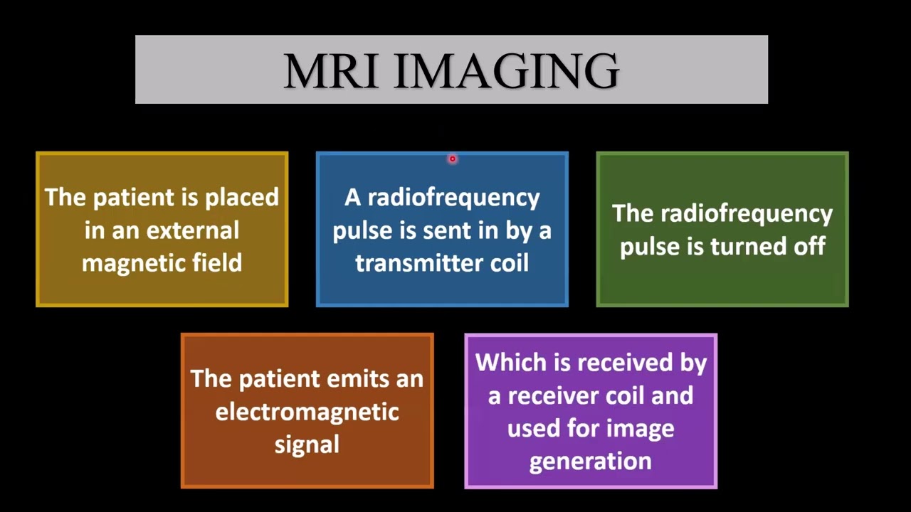 How MRI Works? Basic Principle Explained