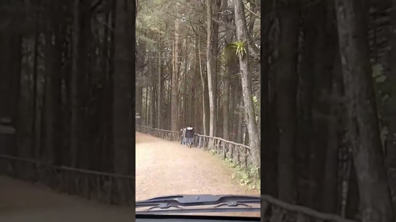 Sendero Ecol&oacute;gico el Aprisco - Totonicap&aacute;n