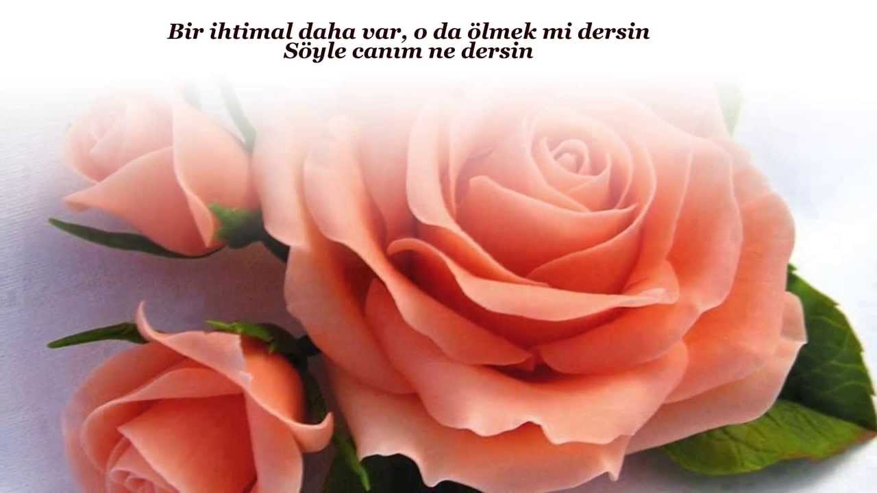 NİHÂVEND FASLI Seçmeler