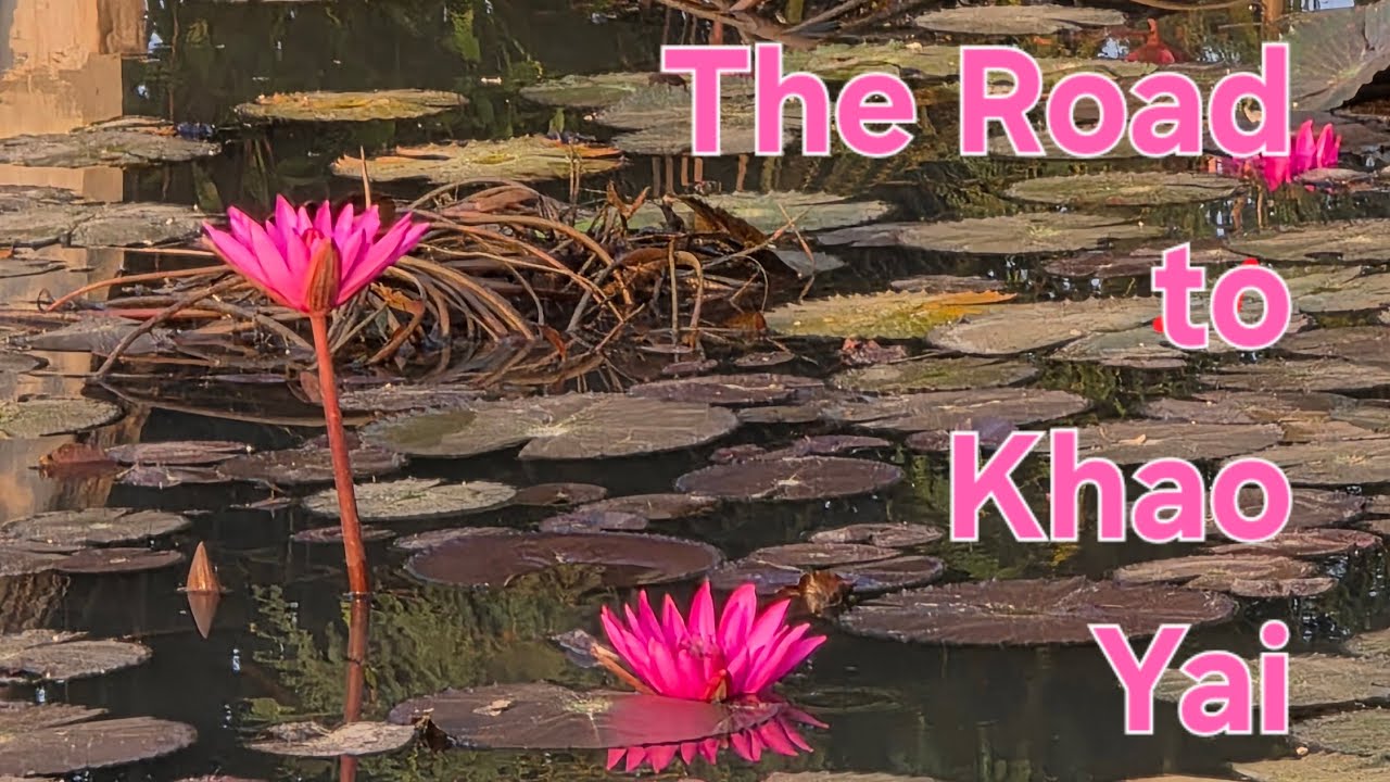 The Road to Khao Yai National Park