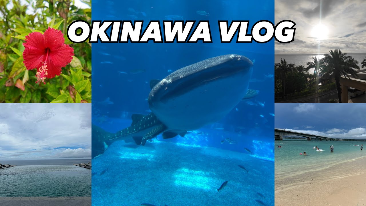 【vlog】初めての沖縄旅行 | One Suite THE GRAND | カフーリゾートフチャクコンドホテル | 美ら海水族館 |首里城 | 万座毛 