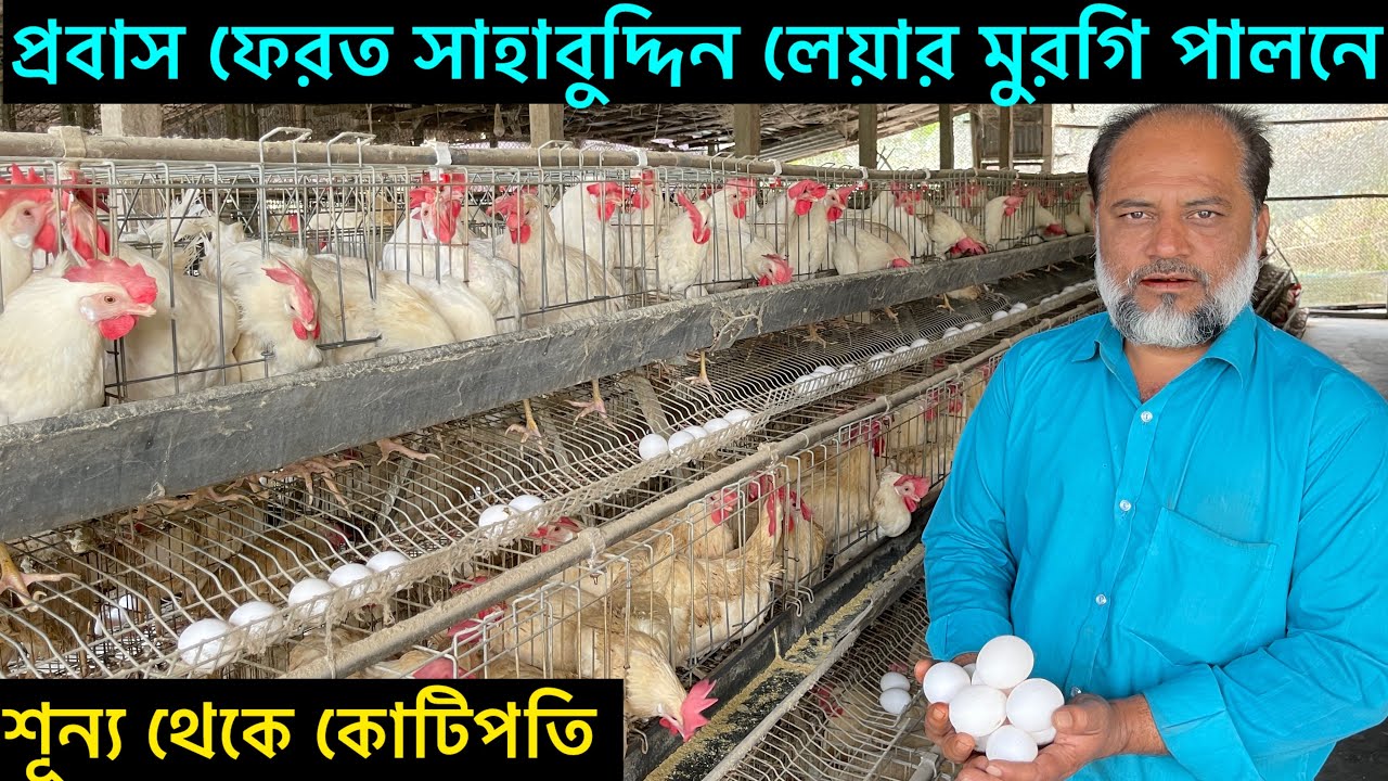 প্রবাস ফেরত সাহাবুদ্দিন লেয়ার মুরগি পালনে শূন্য থেকে কোটিপতি poultry farm business profit calcation