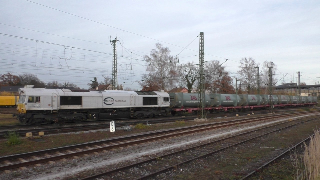 U. a. Werbetaurüssel, Class 77, Nightjet, BR 249 - Bahnverkehr in Freilassing am 14.11.2025 - FHD