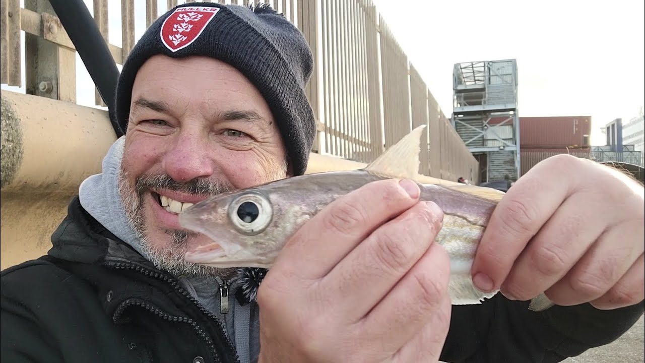 Humber Cod Hunt | King George Dock, Hull | UK sea fishing 