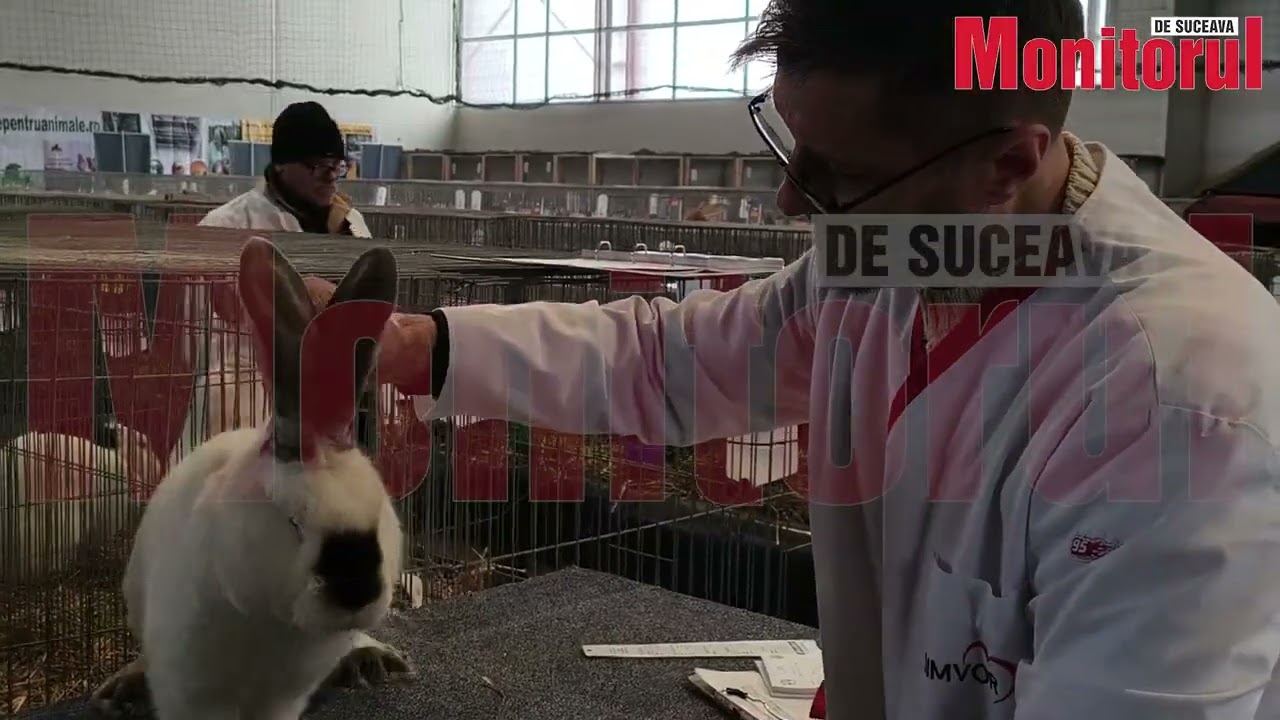 Expozitie animale pasari Todiresti