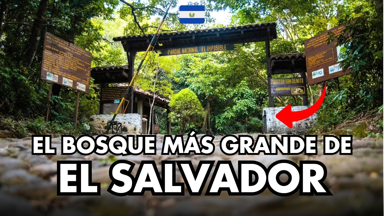 El pulmón más grande de El Salvador: Parque Nacional El Imposible