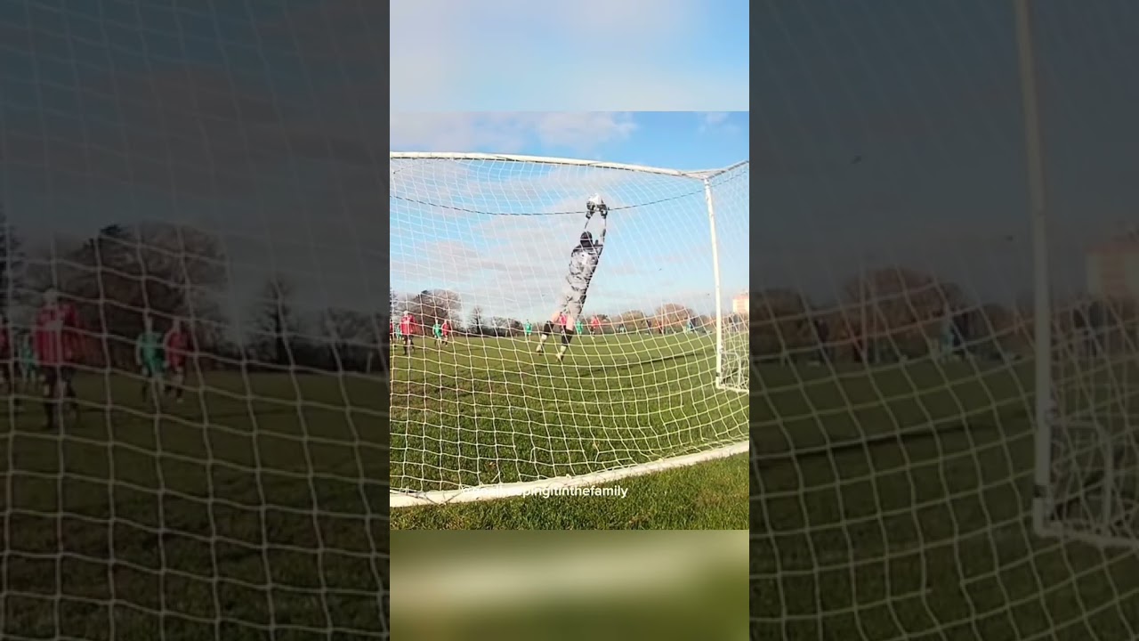 Father & son best saves of 2025