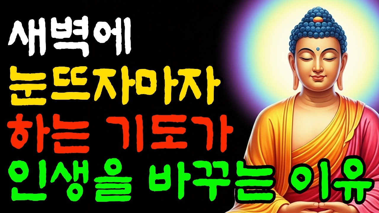 새벽에 눈뜨자마자 하는 기도가 인생을 바꾸는 이유 | 자면서 듣는 부처님 말씀 | 불교 명언 | 인생 조언