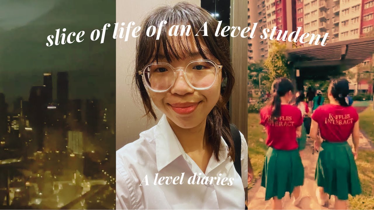 a level diaries: slice of life of an A level student in raffles institution 𐙚🧸ྀི (ft. moving house)
