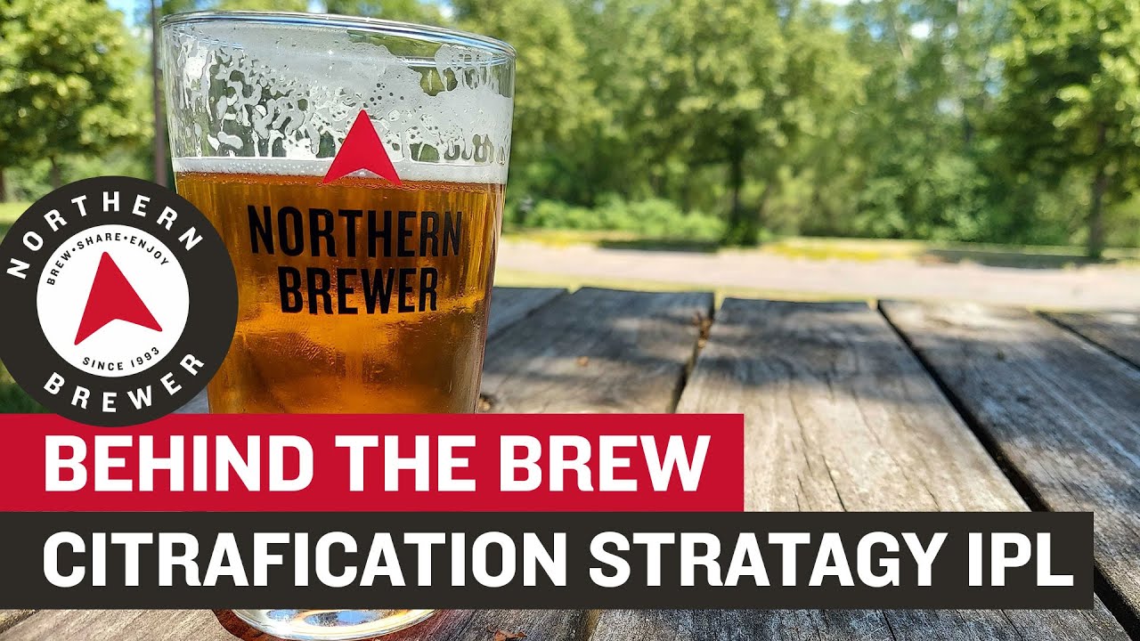 Citrafication Stratagy India Pale Ale | Behind the Brew