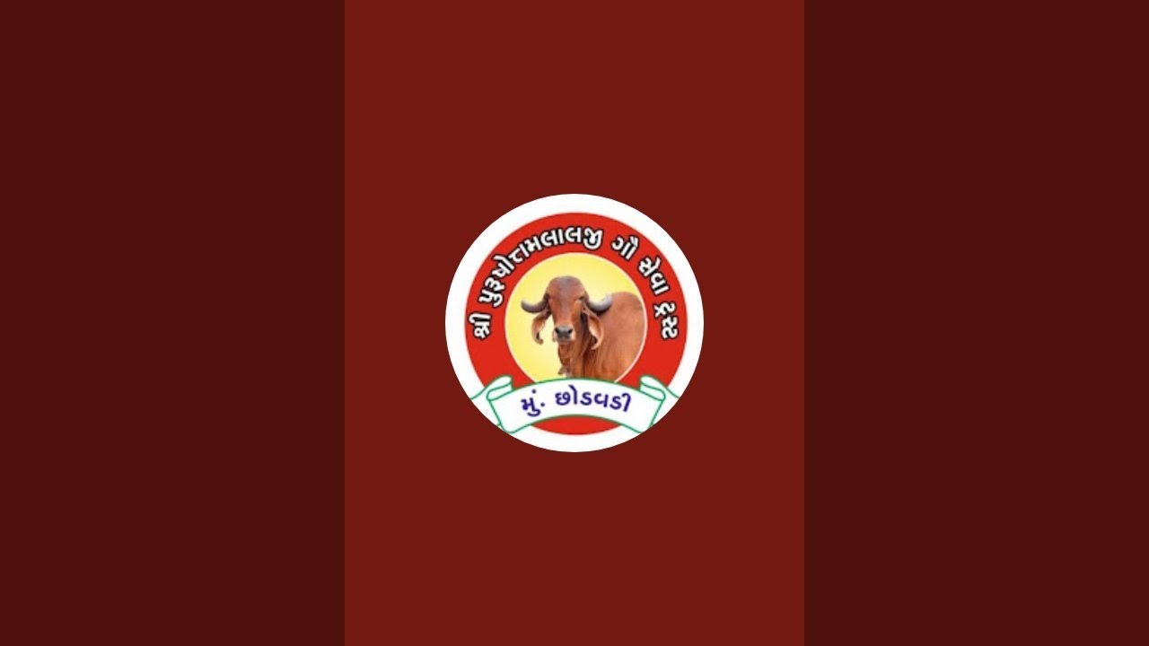 | શ્રી પુરુષોત્તમ લાલજી ગૌશાળા ધૂન મંડળ છોડવડી 🙏| @dhunmandal_chhodavdi #dhun #bhajan #kartal #live