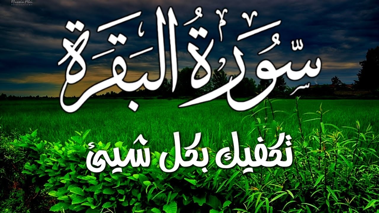 سورة البقرة كاملة 🌹 لزيادة الرزق ولحفظ وتحصين المنزل Surah Al Baqara