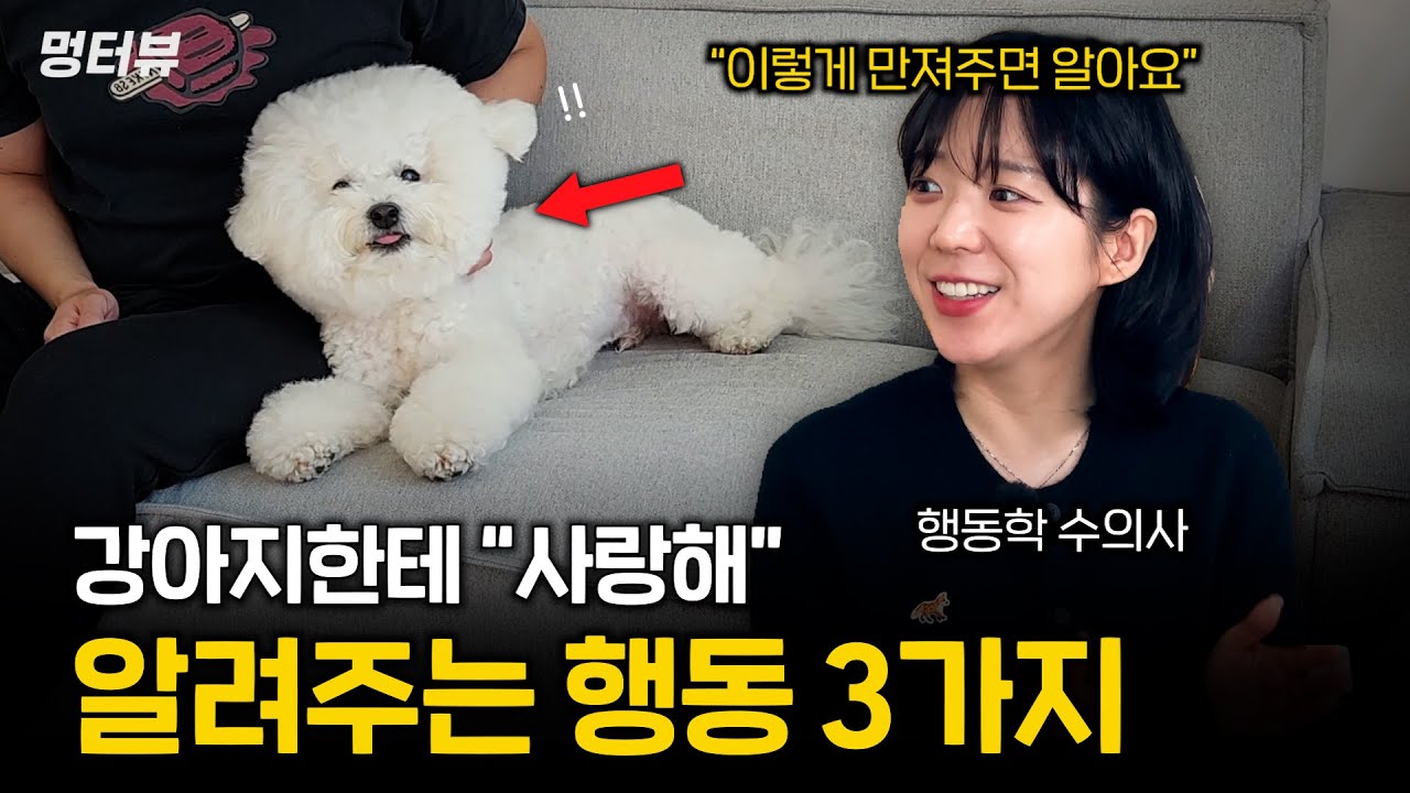 잘못 만지면 상처받는다? 강아지에게 사랑을 전하는 3가지 방법 (보호자라면 꼭 보세요) | 멍터뷰ep.64