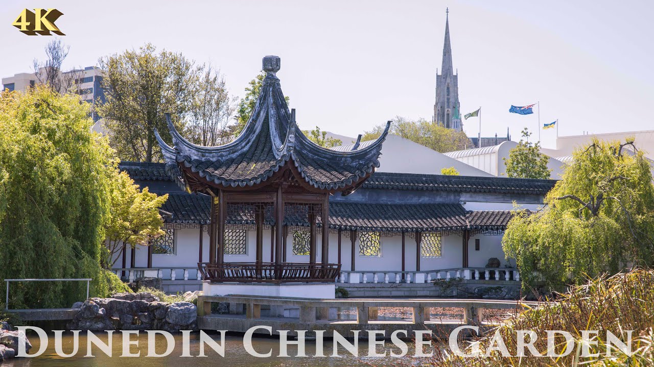 Dunedin Chinese Garden Tour Nov 2021 | Lan Yuan | Otago New Zealand Walking Tour 4K | 但尼丁兰园