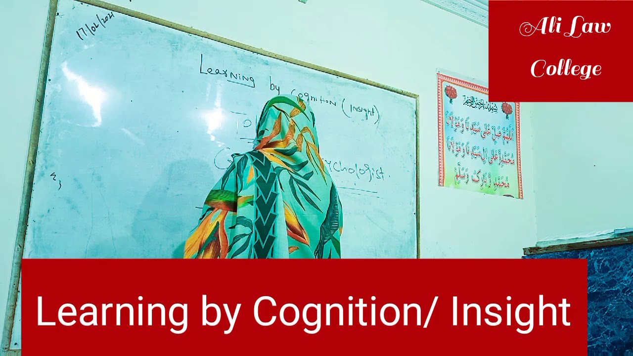 Learning by Cognition / Insight