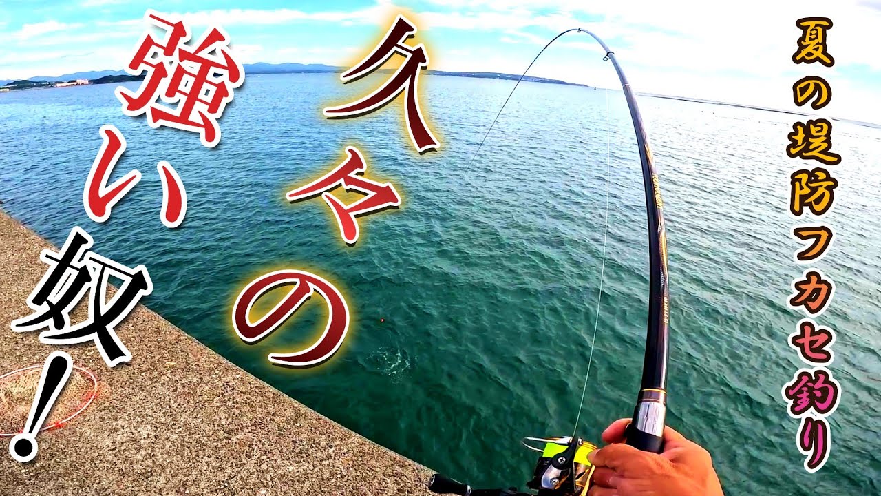 【堤防グレフカセ釣り】～久々の強い奴～見えない魚は浅かった❗