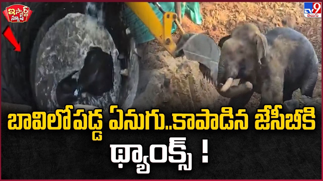 iSmart News :  బావిలో పడ్డ ఏనుగు..కాపాడిన జేసీబీకి థ్యాంక్స్ ! | Elephant | JCB - TV9