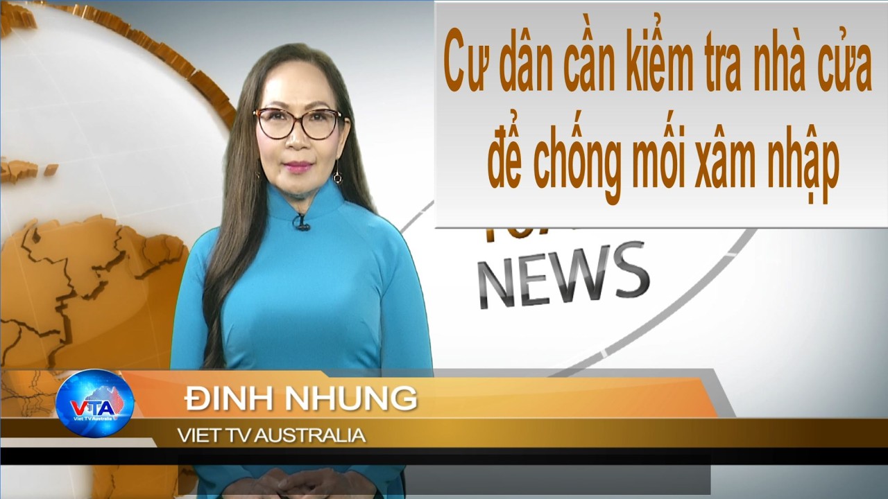TIN 10AM 11-02-2026: Cư dân cần kiểm tra nhà cửa để chống mối xâm nhập