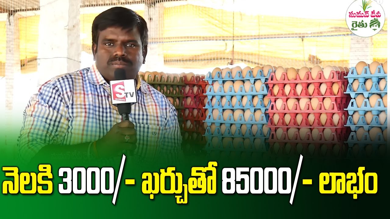 Organic Egg Production Profits || How to Start Egg Poultry Business Telugu || SumanTV Rythu