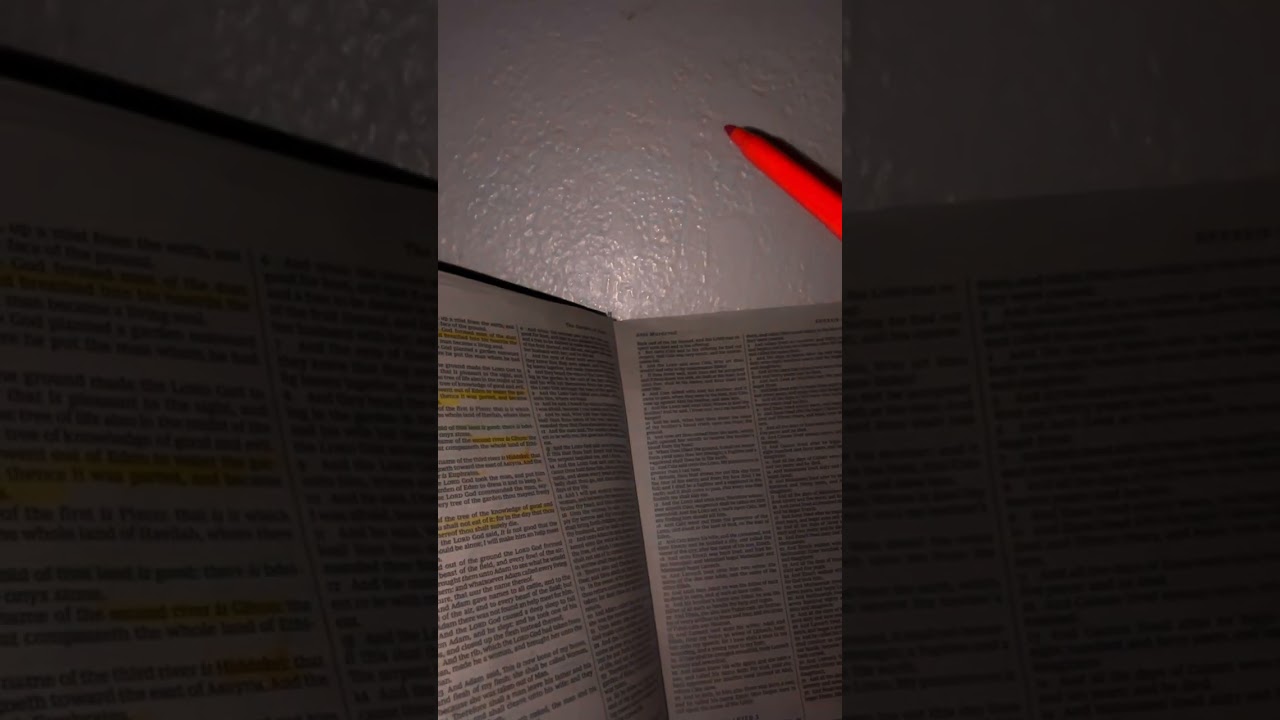 Attempting to read  the Bible!