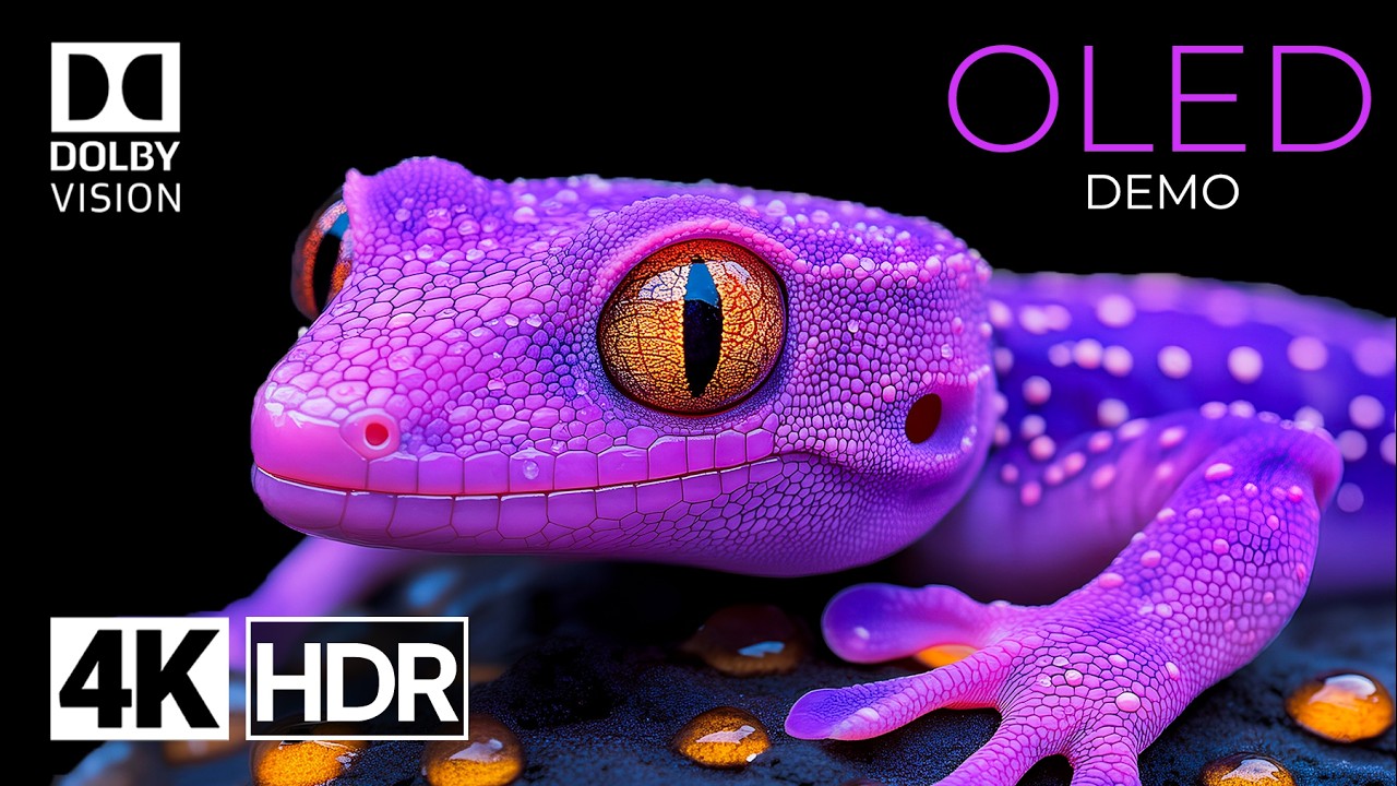Pure Clarity &ndash; OLED Demo 4K Dolby Vison HDR