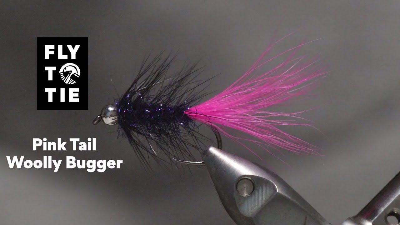 Pink Tail Woolly Bugger | FlyToTie Fly Tying
