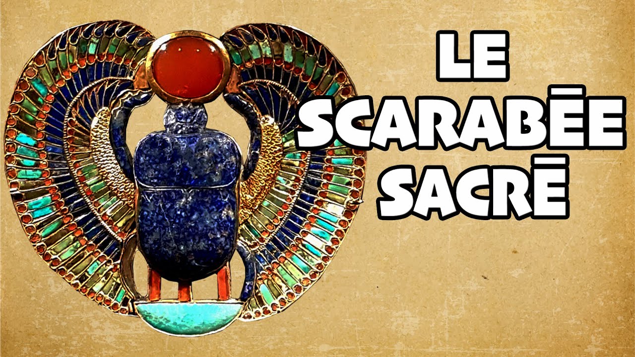 Pourquoi le SCARABEE était vénéré par les égyptiens de l'antiquité ? - MONSIEUR EGYPTE