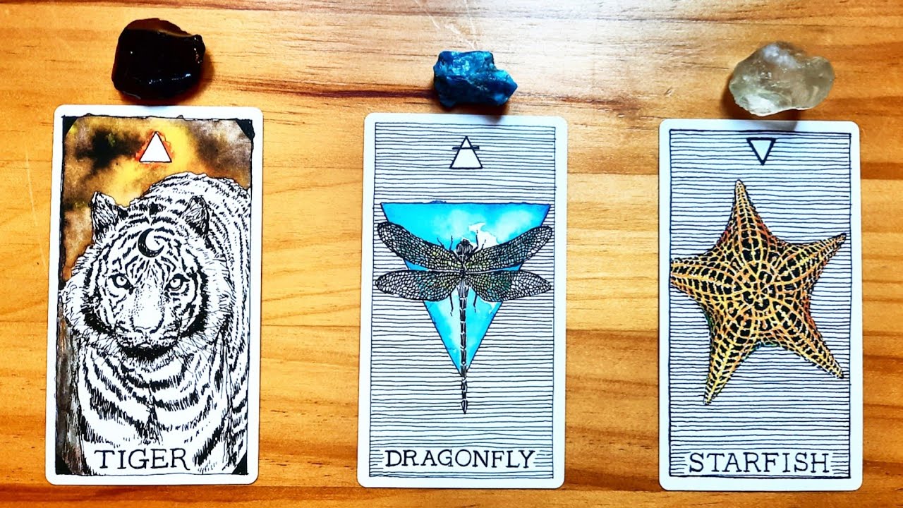 YOUR FUTURE SELF 1 YEAR FROM NOW IS SENDING YOU THIS MESSAGE! 🐅💙🌟 | Pick a Card Tarot Reading