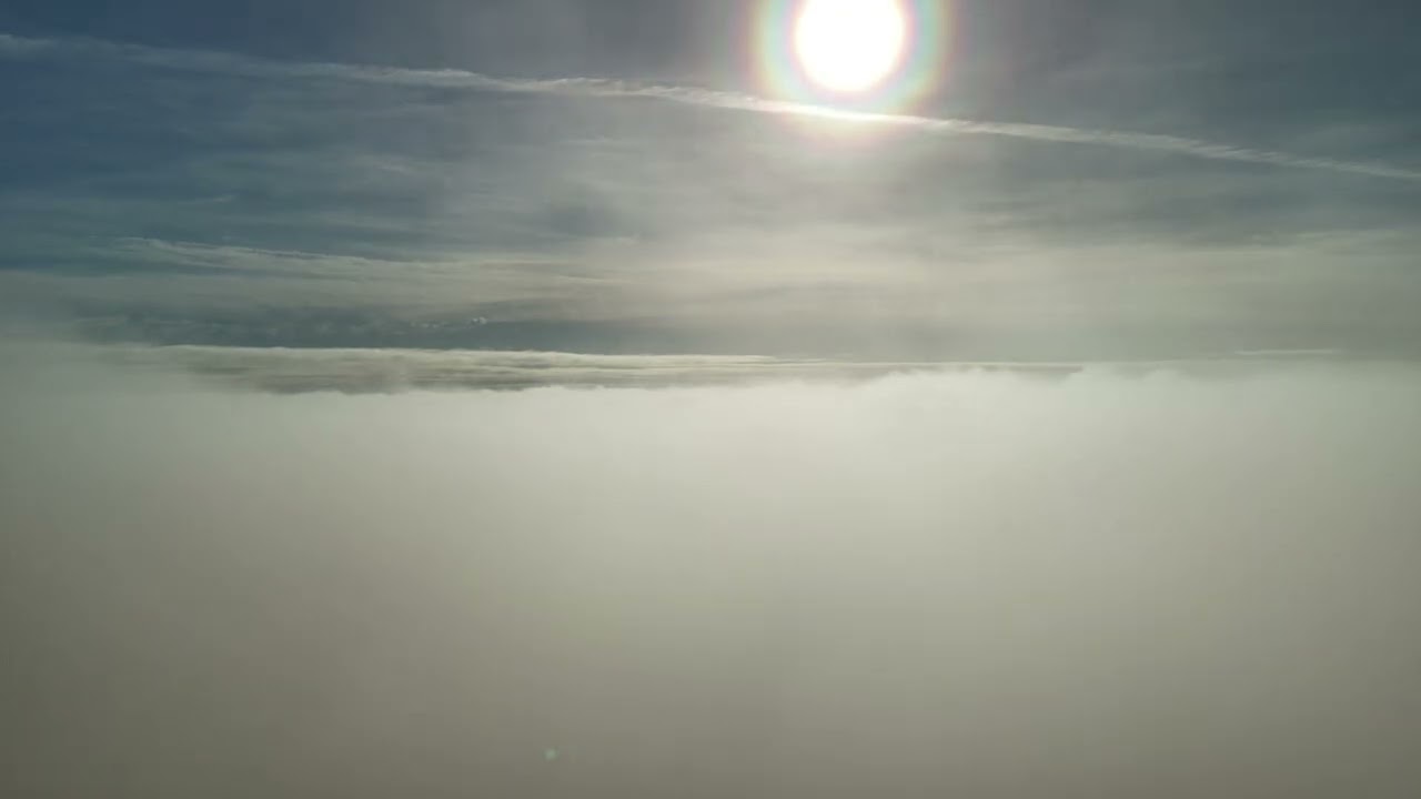 Flock of geese above the clouds
