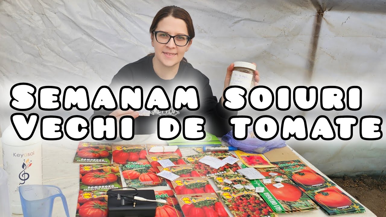 Semanam soiuri vechi de seminte Tomate cu gust deosebit