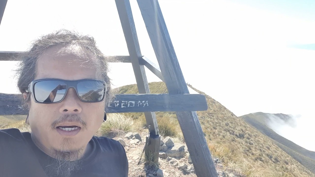 Little Mount Peel Forest outdoor trail at Geraldine, Canterbury New Zealand 1.2 2021