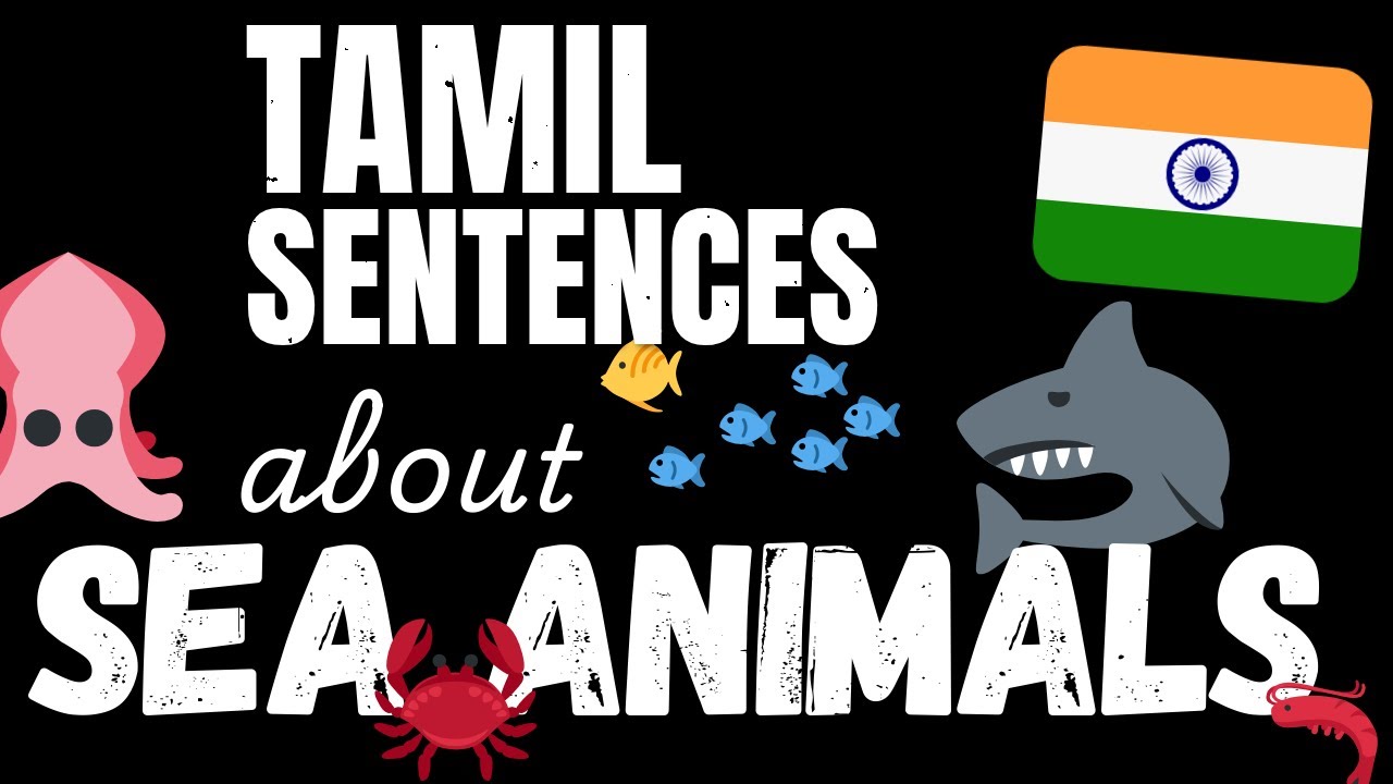 200 B1 Tamil sentences - Marine Animals | Learn Intermediate Tamil vocabulary