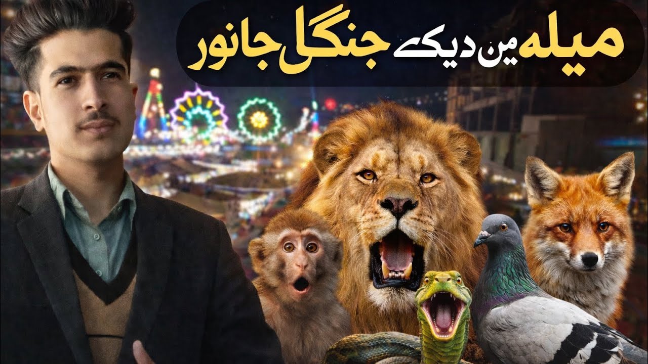 میلے میں کیاکچھ ہوتا ہے؟|Animals,Food, Circus|Full Mela Tour