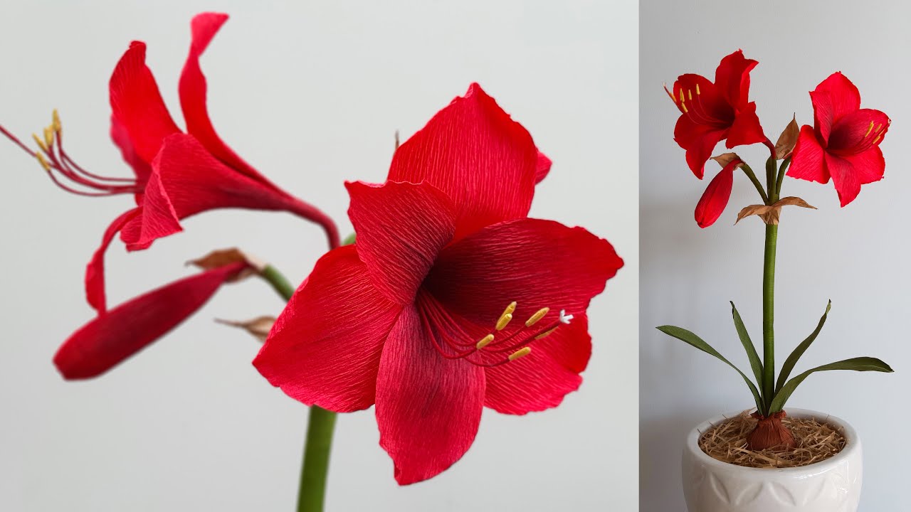 How To Make Amaryllis Paper Flower / Paper Flower / Góc nhỏ Handmade
